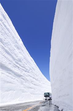 室堂・雪の大谷ウォーク（4月頃撮影）